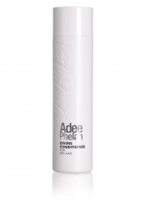 Bild p  Divine Conditioner